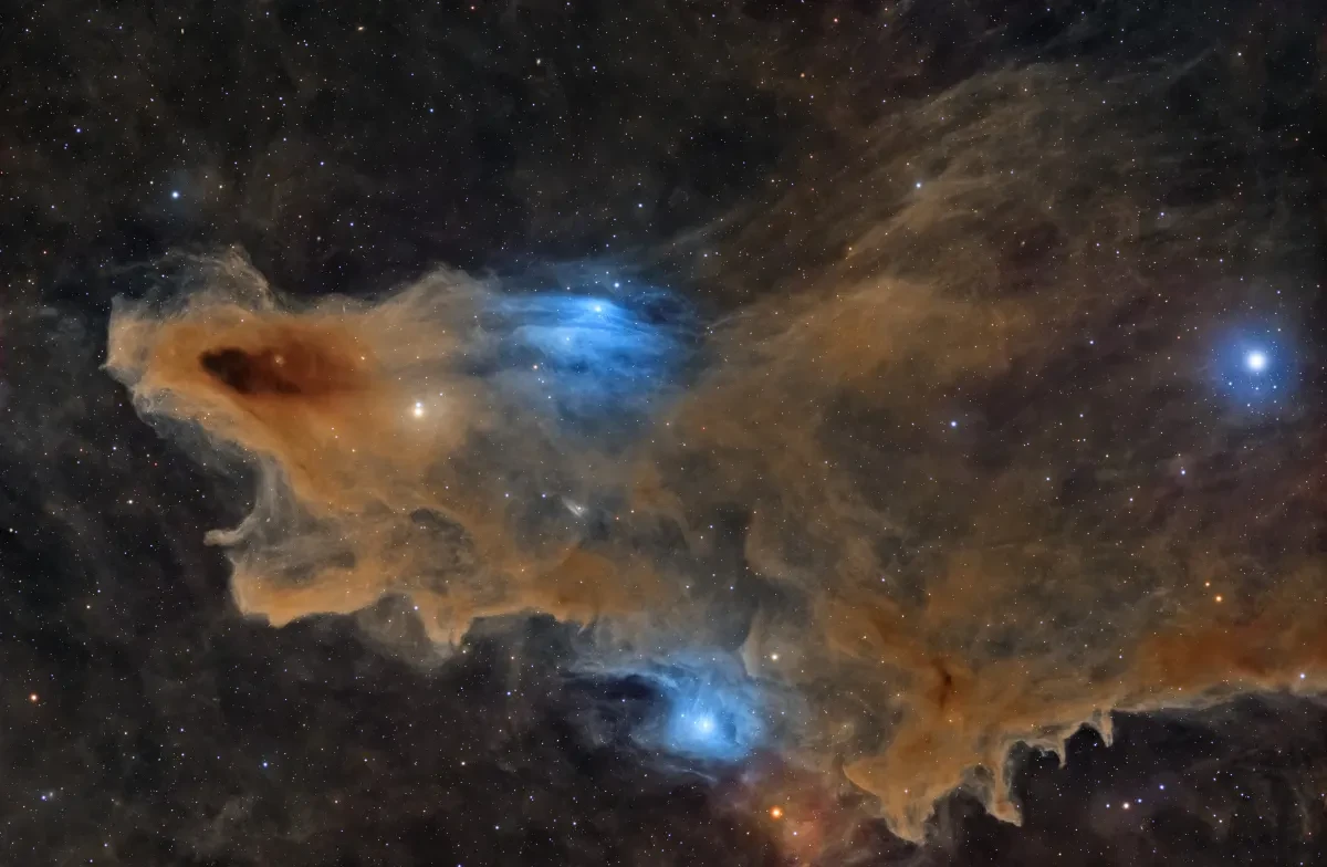 Brown nebula in the vague shape of a shark pointing left with its mouth open, with glowing patches of blue stars within it and millions of stars around