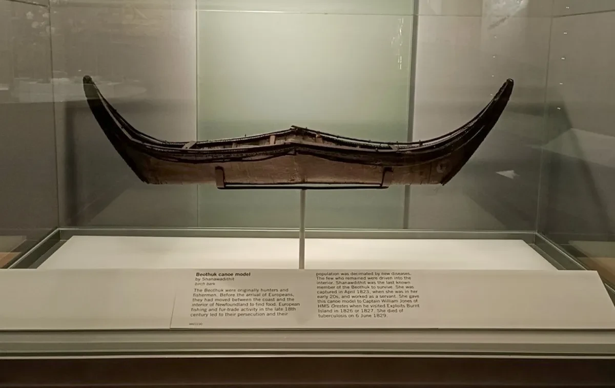A wooden model of a canoe, positioned on a plinth inside a glass Museum display case