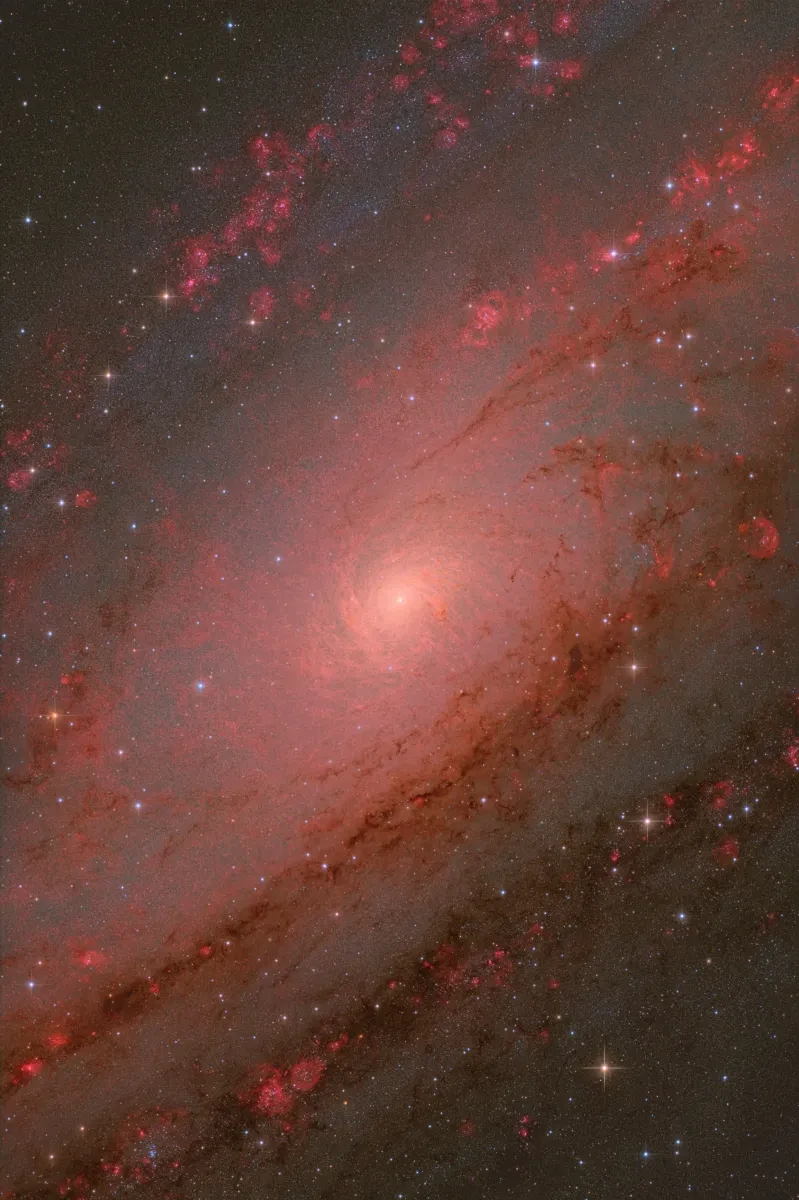 Bright red H-alpha emissions in a swirling galaxy.