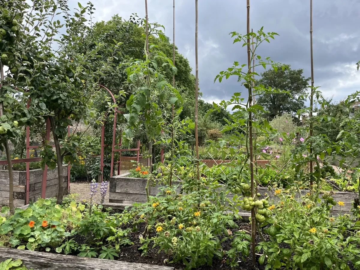Photo of the Queen's Orchard in Greenwich Park