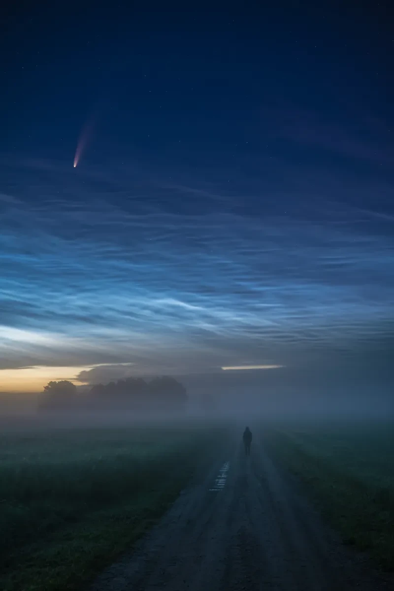 Foggy field with comet Neowise