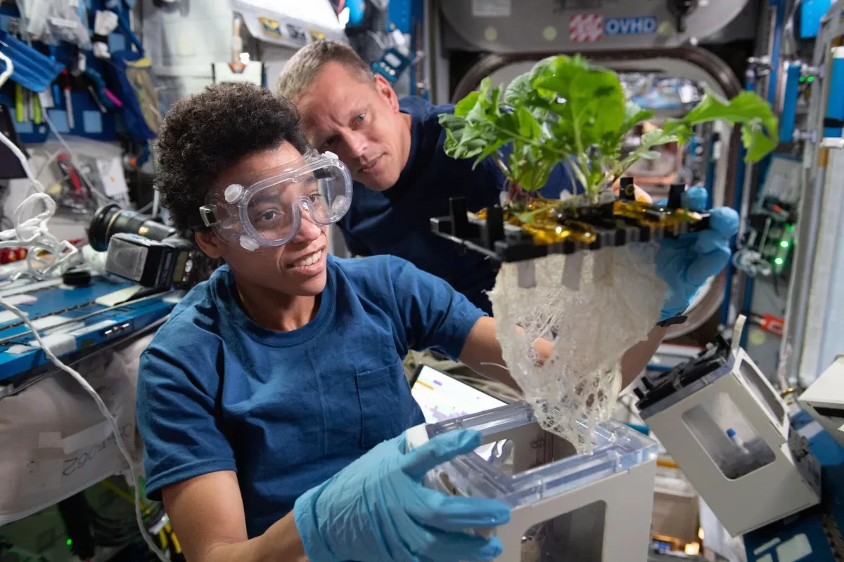 A NASA astronaut on board the International Space Station holds a plant grown as part of the XROOTS experiment