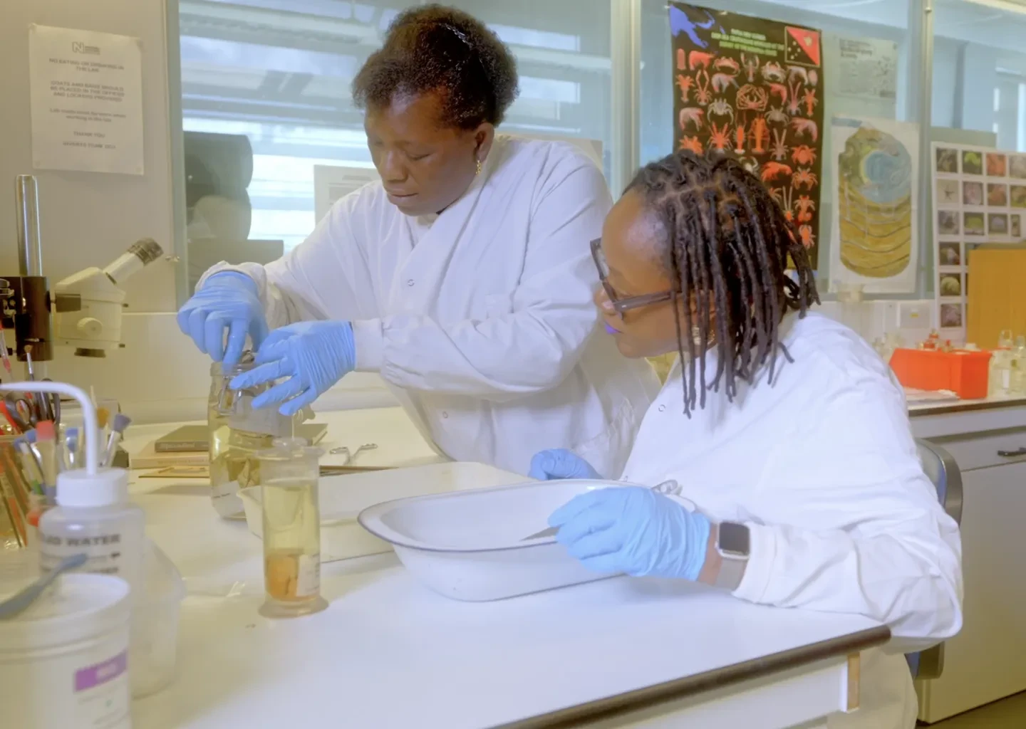 Two women wearing gloves and lab coats look at a preserved crab